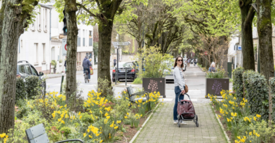 Concours photo : « Capturez le printemps à Bourg-la-Reine »