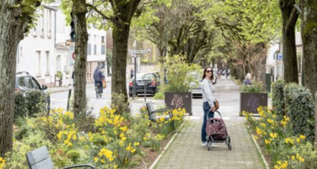 Concours photo : « Capturez le printemps à Bourg-la-Reine »