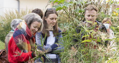 Bourg-la-Reine, engagée pour la biodiversité