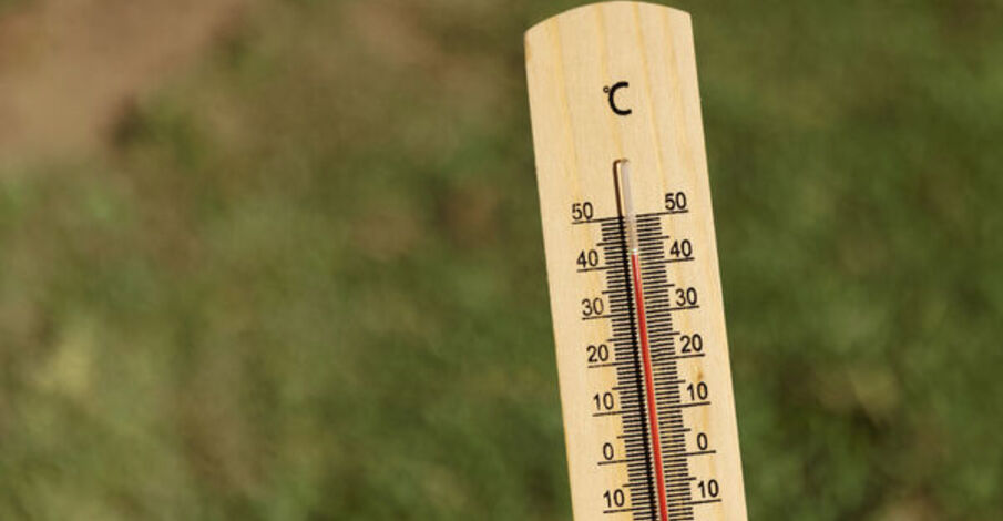 Canicule : que prévoit la Ville pour faire face aux pics de chaleur ? 