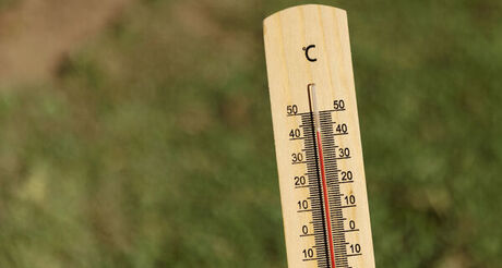 Canicule : que prévoit la Ville pour faire face aux pics de chaleur ? 