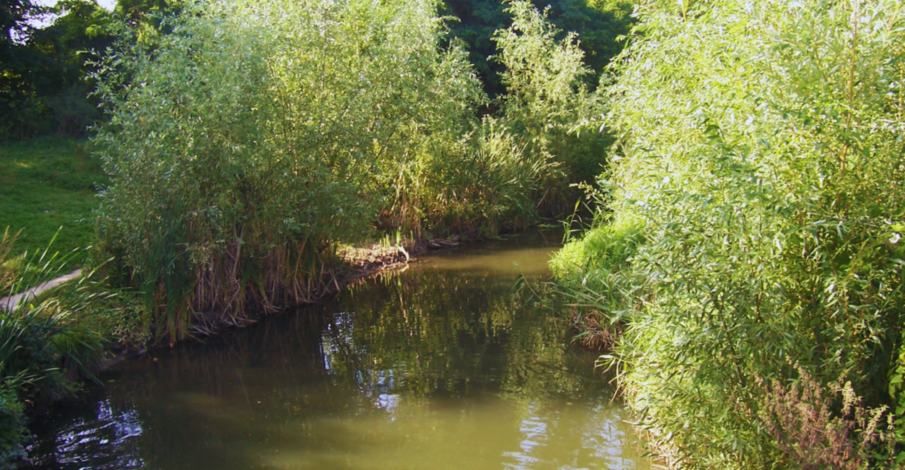 Bonne nouvelle pour la Bièvre