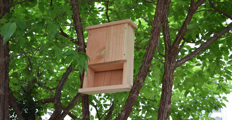 Demandez votre abri à chauves-souris