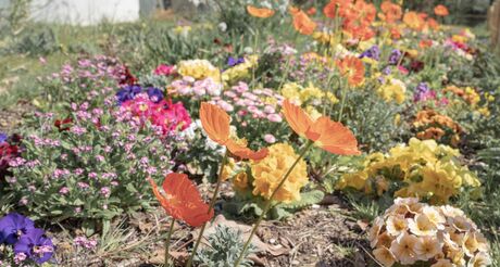 Salon Vert Avril - La nature en ville