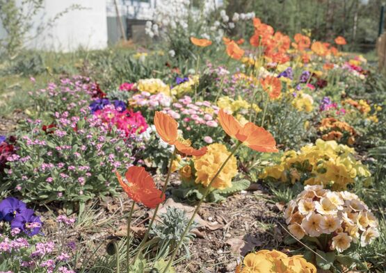 Salon Vert Avril - La nature en ville