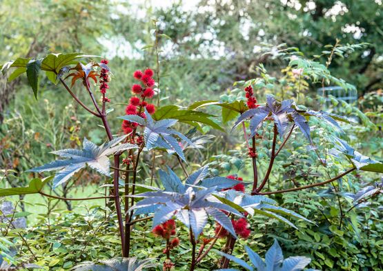 Concours photo "Capturez la nature en Ville"