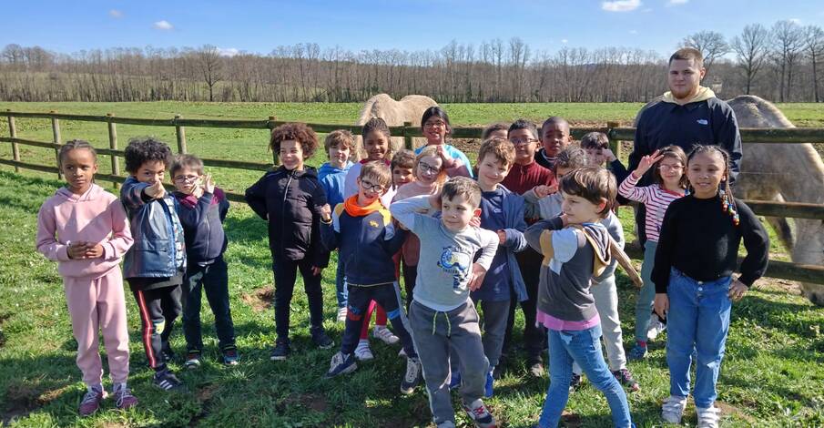 Classes découverte : découvrir en s’amusant !