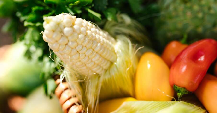 Bien plus que des légumes bio ! 
