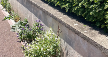 Une jardinière devant chez vous