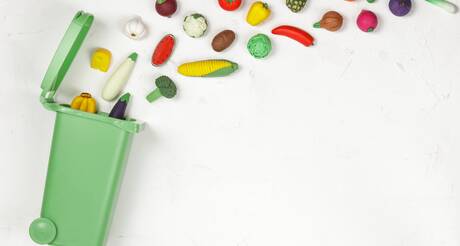 Collecte de biodéchets 