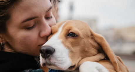 Bien vivre avec son animal à BLR