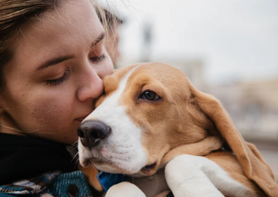 Bien vivre avec son animal à BLR