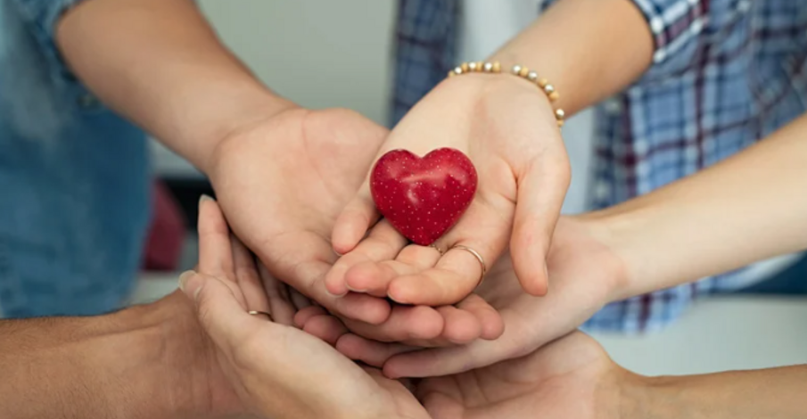 Au cœur de la solidarité internationale 