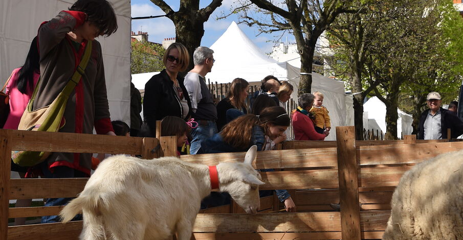 Vert Avril : la nature en Ville 