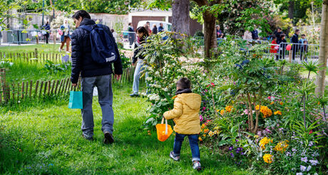 Chasse aux oeufs de BLR
